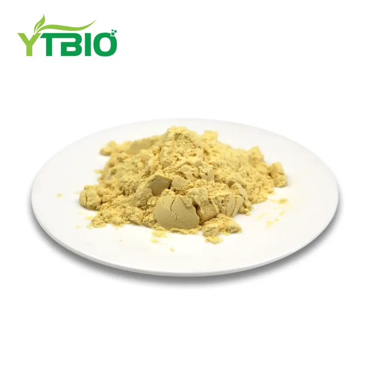 Euglena powder